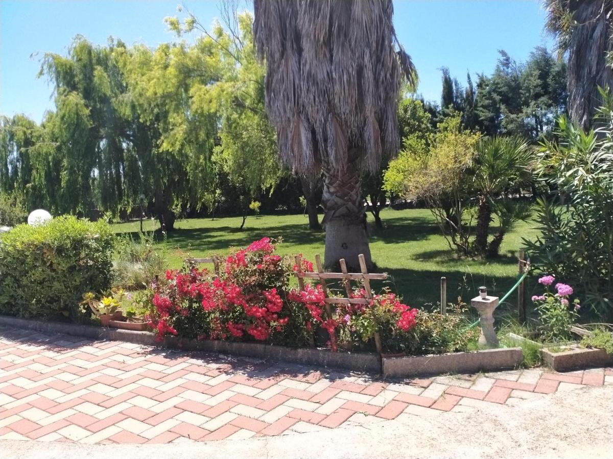 Apartament Le Rose Olmedo Zewnętrze zdjęcie