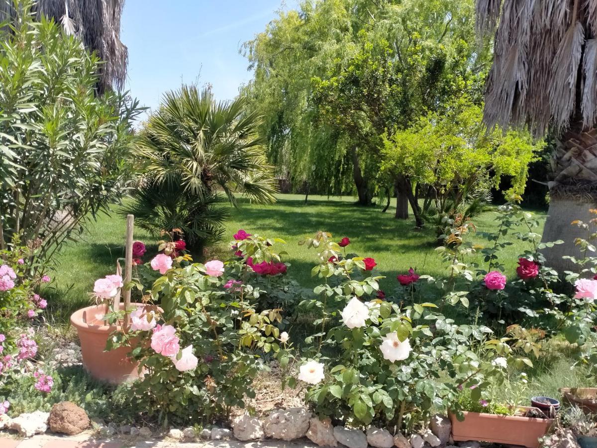 Apartament Le Rose Olmedo Zewnętrze zdjęcie
