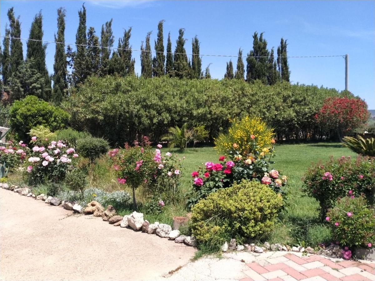 Apartament Le Rose Olmedo Zewnętrze zdjęcie