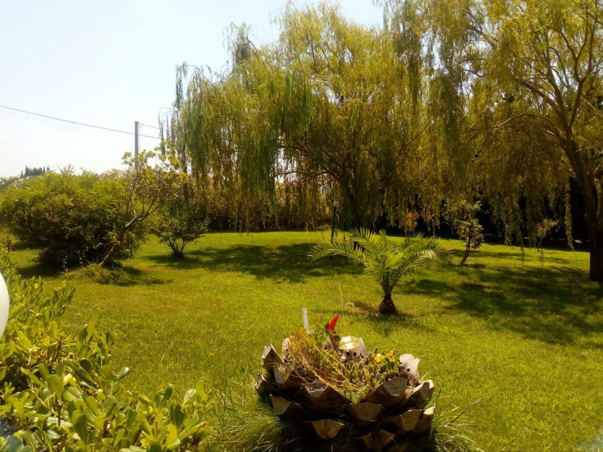 Apartament Le Rose Olmedo Zewnętrze zdjęcie
