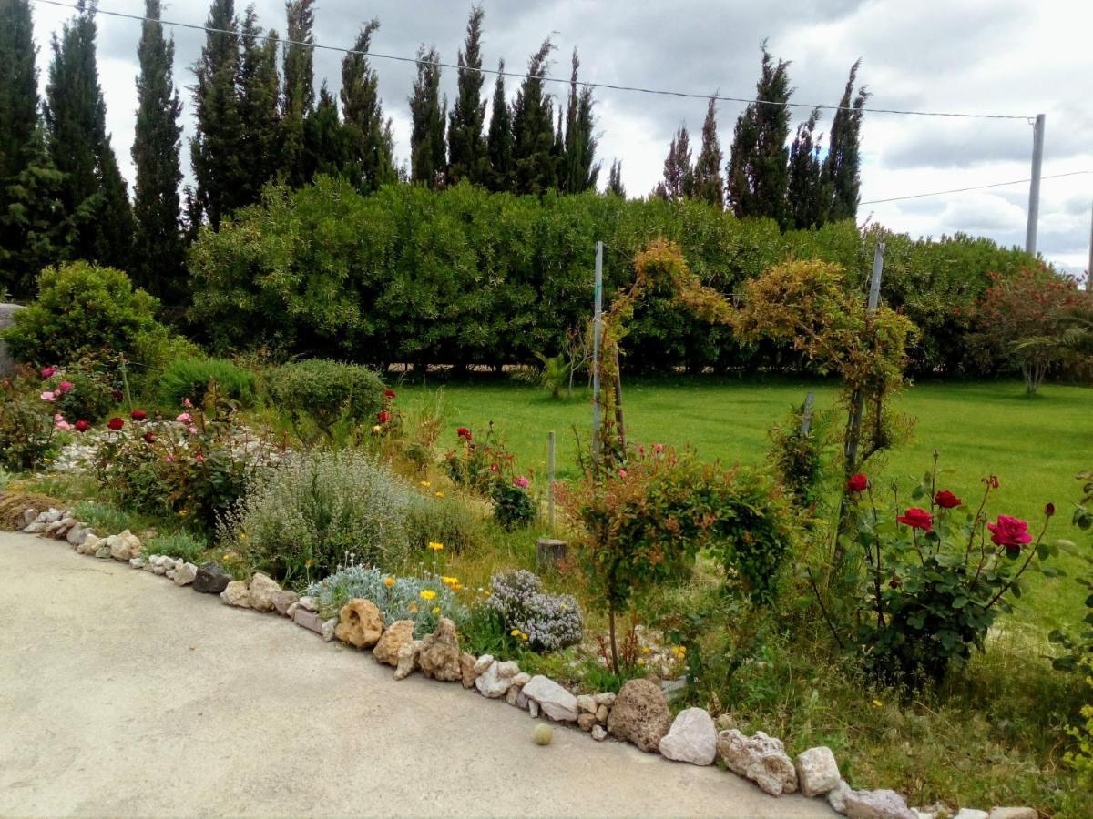 Apartament Le Rose Olmedo Zewnętrze zdjęcie